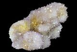 Cactus Quartz (Amethyst) Crystal Cluster - South Africa #134340-1